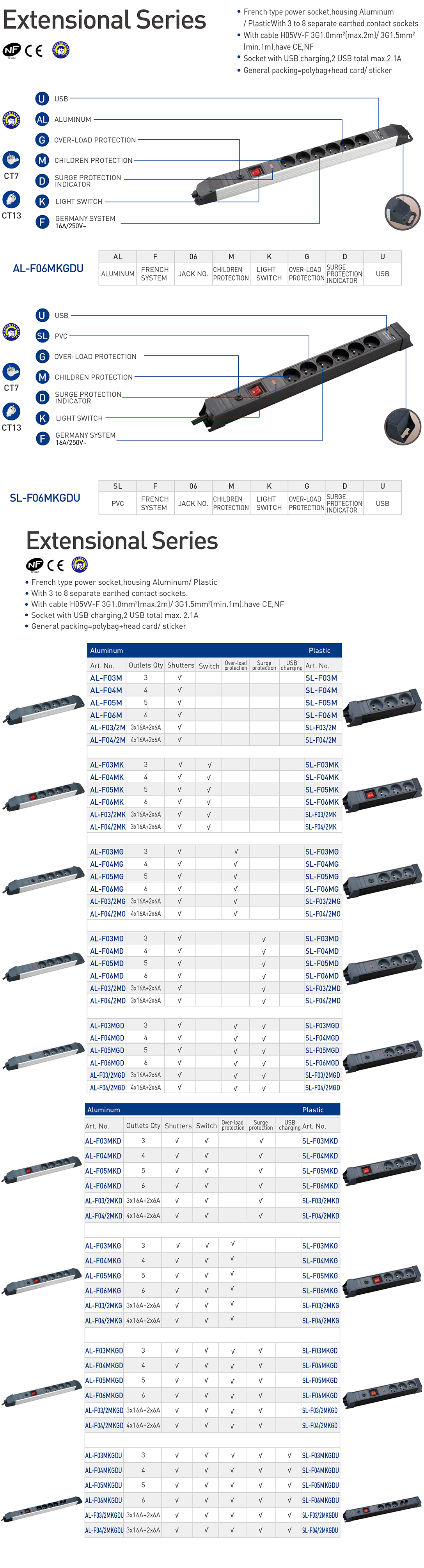 9-1-Extensional Series.jpg